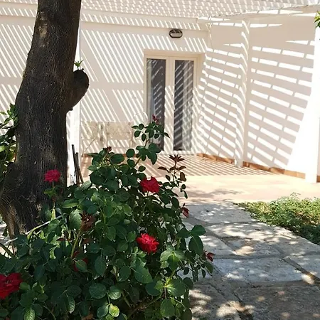 Tenuta Nel Mezzo